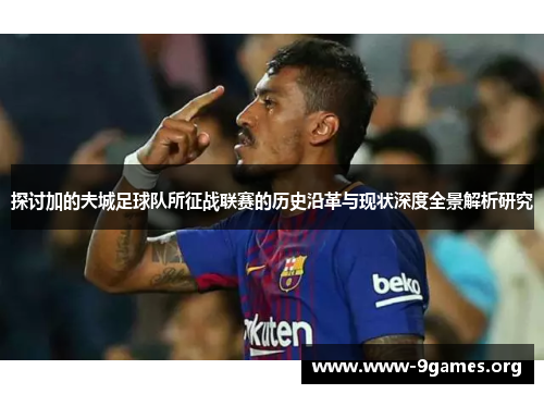 探讨加的夫城足球队所征战联赛的历史沿革与现状深度全景解析研究